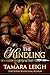 THE KINDLING: A Medieval Romance (Age of Faith Book 4)