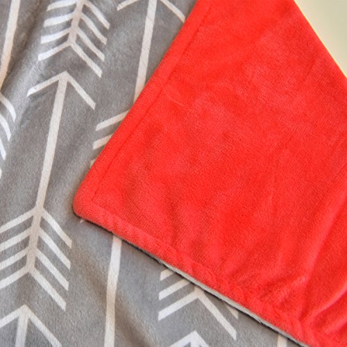 Towin Baby Minky Throw Blanket，Double Layer Soft Baby Girl Couch Blanket, Light Weight Baby Boy Blankets, Nursery Receiving Blanket, Plush Blanket For Crib Stroller 50X60 In #TOP2