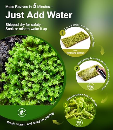 image for LUCKYRUNES Live Moss Duo Pack – 2 Varieties Mixed Moss for Reptile T