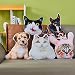 Kissen Mit Foto Bedrucken Lassen, Personalisiert Lustig Hunde Zierkissen Katze, Kuscheltier Selbst Gestalten mit Bild, Persönliche Geschenke Fotokissen für Beste Freundin, Männer, Papa, Mama