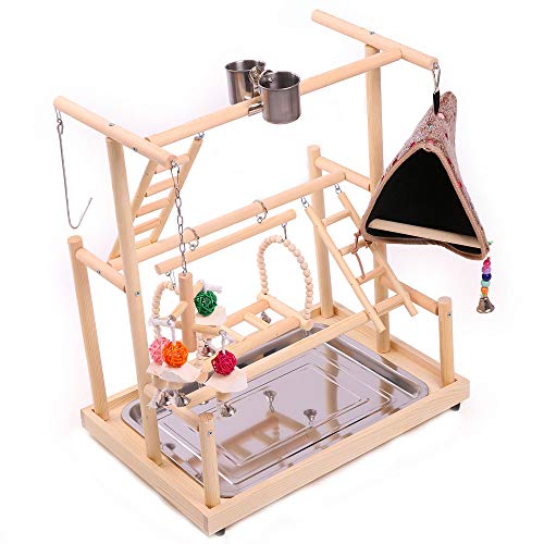 image for QBLEEV Bird Playground Perch, Parrot Training Stand,Play Gym Tabletop 