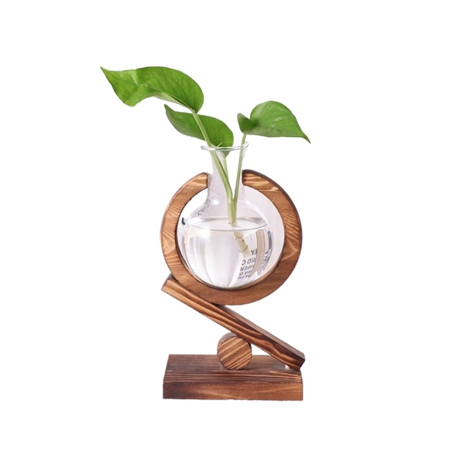 QuxetlRyz Glass Hydroponic Vase Hydroponic Plants Transparent Glass Wooden Frame Vase Green Ivy Plant Simple Desktop Modern Decoration Ornament(Size C)