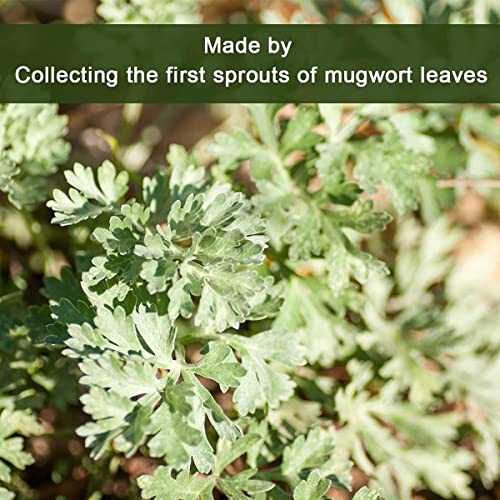 Yan Hou Tang Bustine di tè cinese biologico