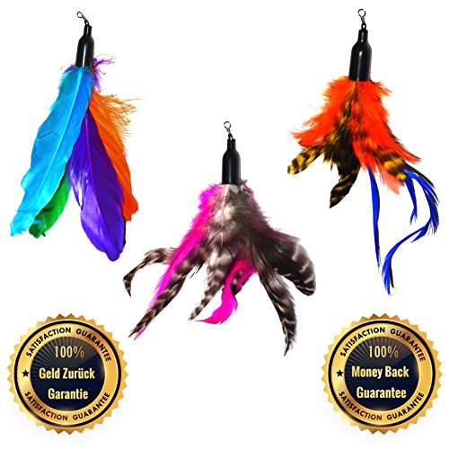 Gatto del gioco di pesca Angel campana e vere