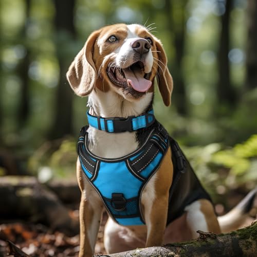 Image of Joytale Reflective Dog Collar, Adjustable Neoprene Padded, Sky Blue L | Breathable Nylon for Large Dogs, No Chafing on Walks and Outdoor Hikes, Tear-Resistant Webbing, Metal D-Ring, Night Safety