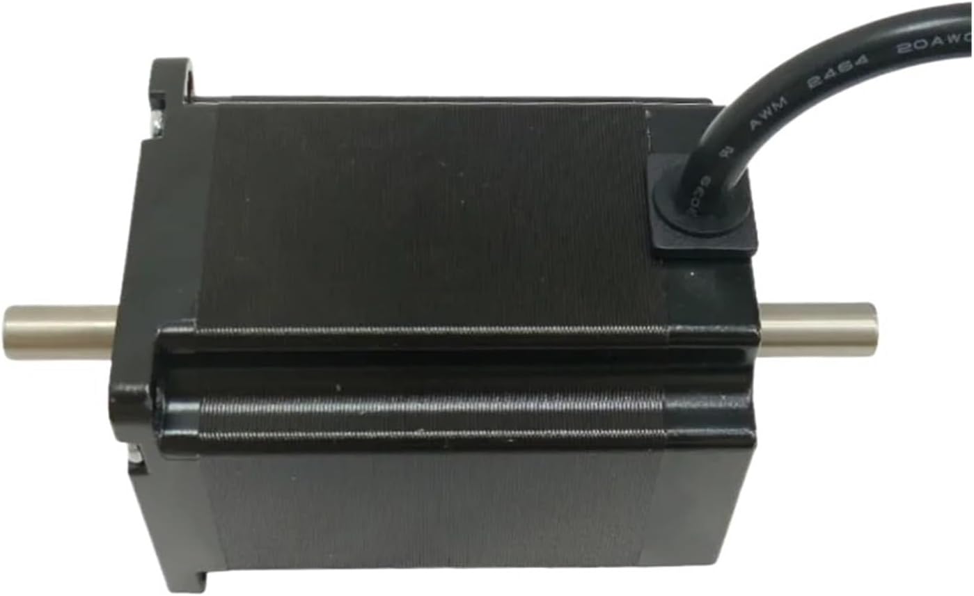 ビカクシダ リドレイ'Tonkla Sporeling' コルク付け 大サイズE