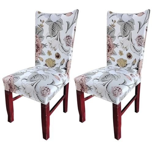 Image of House of Quirk Elastic Chair Cover Stretch Removable Washable Short Dining Chair Cover Protector Seat Slipcover (Pack of 2, Biege Bliss)