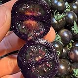 semi di pomodoro ciliegino - rare biologici interno 600pcs