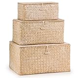 Woodluv Set of 3 Seagrass Storage Box with Lid, Lightweight Woven Basket for Shelves, Lidded Organiser Hamper Baskets, Natural
