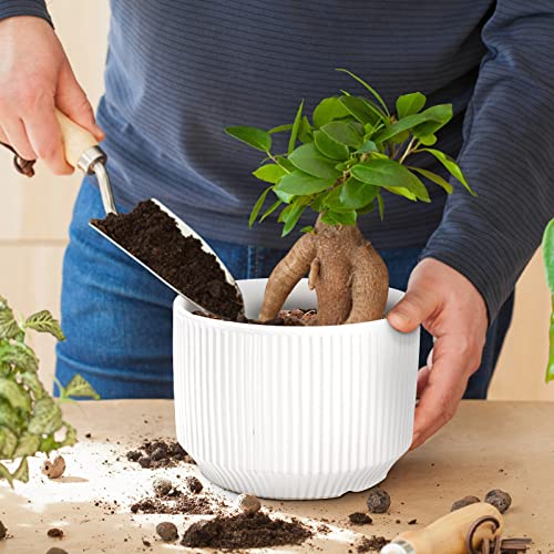 Youeon Set Of 3 White Ceramic Planter, 5/6.5/8.2 Inch Stripe Garden Plant Pots For Outdoor Indoor Plants, Ceramic Flower Pots With Drainage Hole, Round Planter For Succulents, Flowers, Gifts For Mom #TOP3