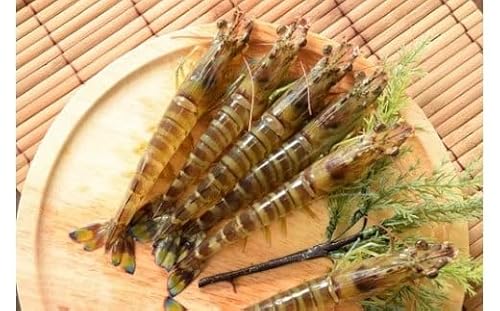 こだわりの車海老 有頭 車エビ(冷凍)250g×3パック