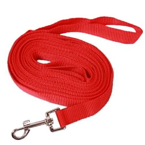 Buy Red, A Pet Dog Leash Training Lead Leash Rope Strap Chain Collars