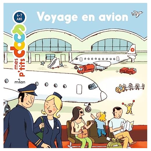 Voyage en avion