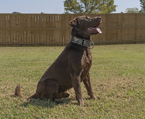 Country Brook Petz - 1 1/2 Inch Woodland Camo Martingale Dog Collar - Large #TOP2