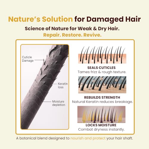 Image of Havintha Premium Powder-Based Shampoo & Conditioner Duo 200g Each | Complete Hair Care Combo for Anti Hair Fall, Anti Dandruff, Frizz Control & 72 Hrs Moisture Lock | Spirulina-Based Herbal Shampoo + Keratin-Based Conditioner with Shikakai, Aloe Vera & Methi