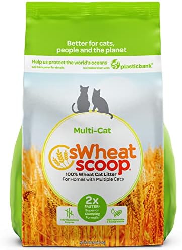 sWheat Scoop Wheat-Based Natural Cat Litter, Multi-Cat, 36 Pound Bag