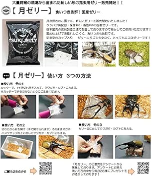 新登場 月ゼリー18g 30個入り24袋 7個昆虫ゼリー 虫ゼリー えるみストア 通販 Yahoo ショッピング 猫がイキイキ Acelerando Com Ec