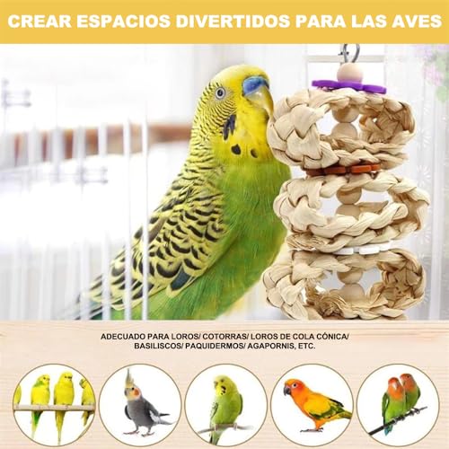 Review de Periquitos los 10 mejores. 17 Imagen adicional