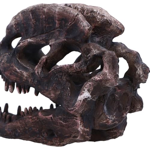 Fossile de dinosaure en résine haute qualité avec finitions réalistes peintes à la main