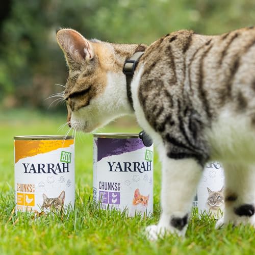 YARRAH Bio Katzenfutter Bröckchen Huhn 405g, 12er Pack (12 x 405 g)