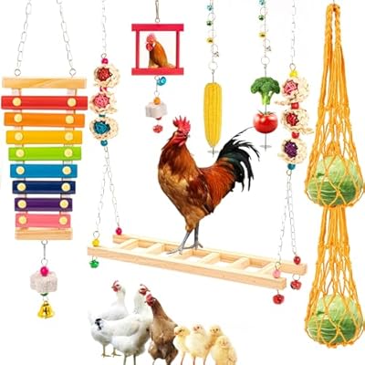 AGX Bravo 9 PCS Chicken Coop Toys, Chicken Swing Toys for Chickens Xylophone Mirror with Bell Hanging Vegetable Fruits Skewers Feeders Chick Coop Toy for Hen Birds Parrots