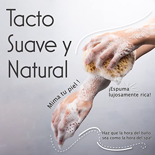 myHomeBody Esponja de baño, esponja de lufa de espuma, esponja corporal para ducha, tamaño grande, mucha espuma, curva, paquete de 3 - imagen 3