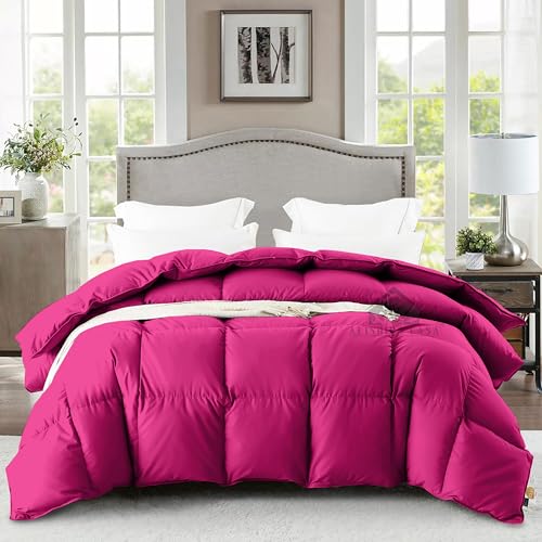 Image of Heavy Winter Comforter Double Bed Size 90 inchX100 inch | 600 GSM Fill for Winter Comforter /Rajai /Duvet /Blanket Hotel Luxury Soft Fluffy Double Bed - Hot Pink Color