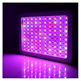 Zoom IMG-2 garcan lampada da coltivazione a Zoom IMG-2 garcan lampada da coltivazione a