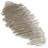 CREATIVE ART MATERIALS Caran D'ache Neocolor II Crayon - Raw Umber (7500.049)