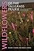 Wildflowers of the Tallgrass Prairie: The Upper Midwest (Bur Oak Guide)