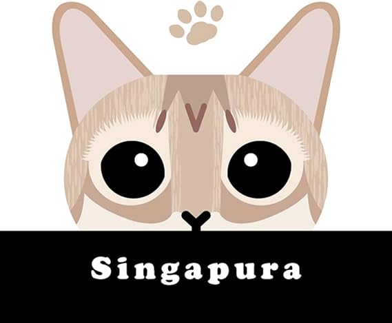 Amazon Co Jp チラ見 猫 ステッカー シンガプーラ Mk 2 ペット用品