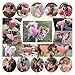 Jecikelon Dog Clothes Dogs Sweater Soft Puppies Clothing Winter Puppy Sweaters Warm Outfit for Dogs Small XXS XS Cat Apparel (Pink, XS)