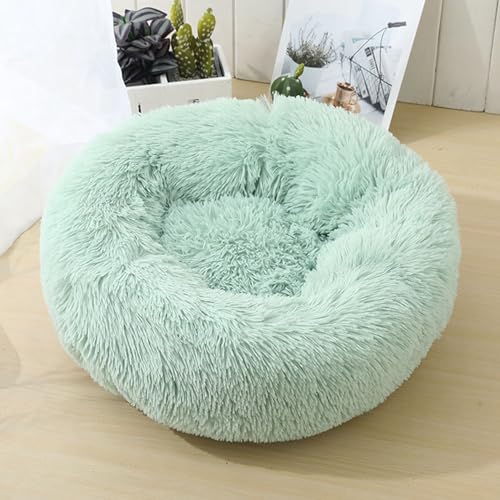 Lxbh xbh ybgxbh ی^ ӂӂ  킢 LNbV  g ׂ~ p O 􂦂 ybgxbh ybgnEX  Lp [΍ h΍ ʔN O[ 120cm