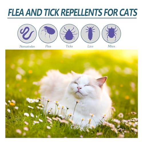 Pet Anti- und Zeckenmittel für Katzen und Hunde, externe Hautreinigung, Läuse und Zeckentropfen, 50 ml, tiefenreinigender Teppich (Weiß, Einheitsgröße)