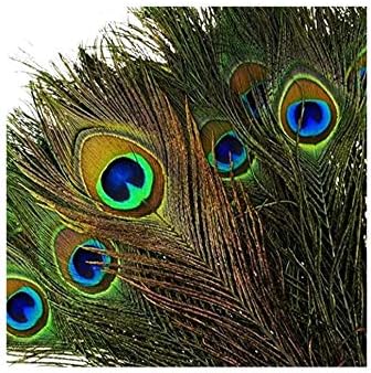 imtion 6 pcs peacock feather | more pankh |feather tails | original full length | pack of 6 pcs feathers mor pankh best quality decoration work-Green