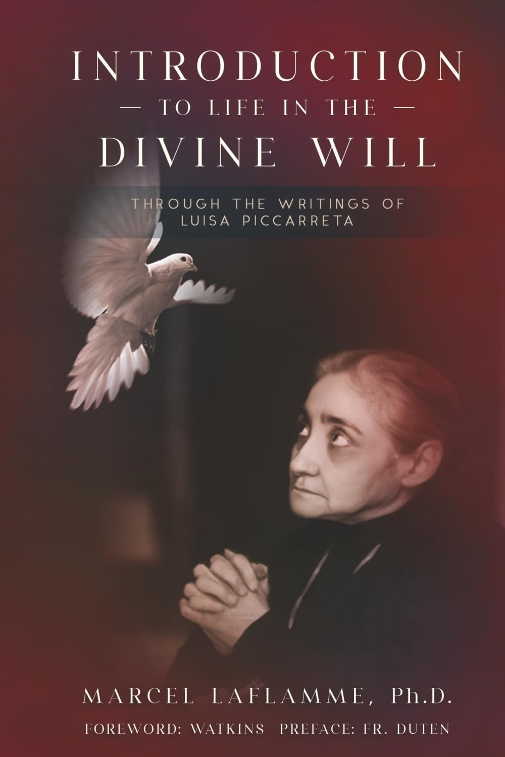 Introduction to Life in the Divine Will: Through the Writings of Luisa Piccarreta
