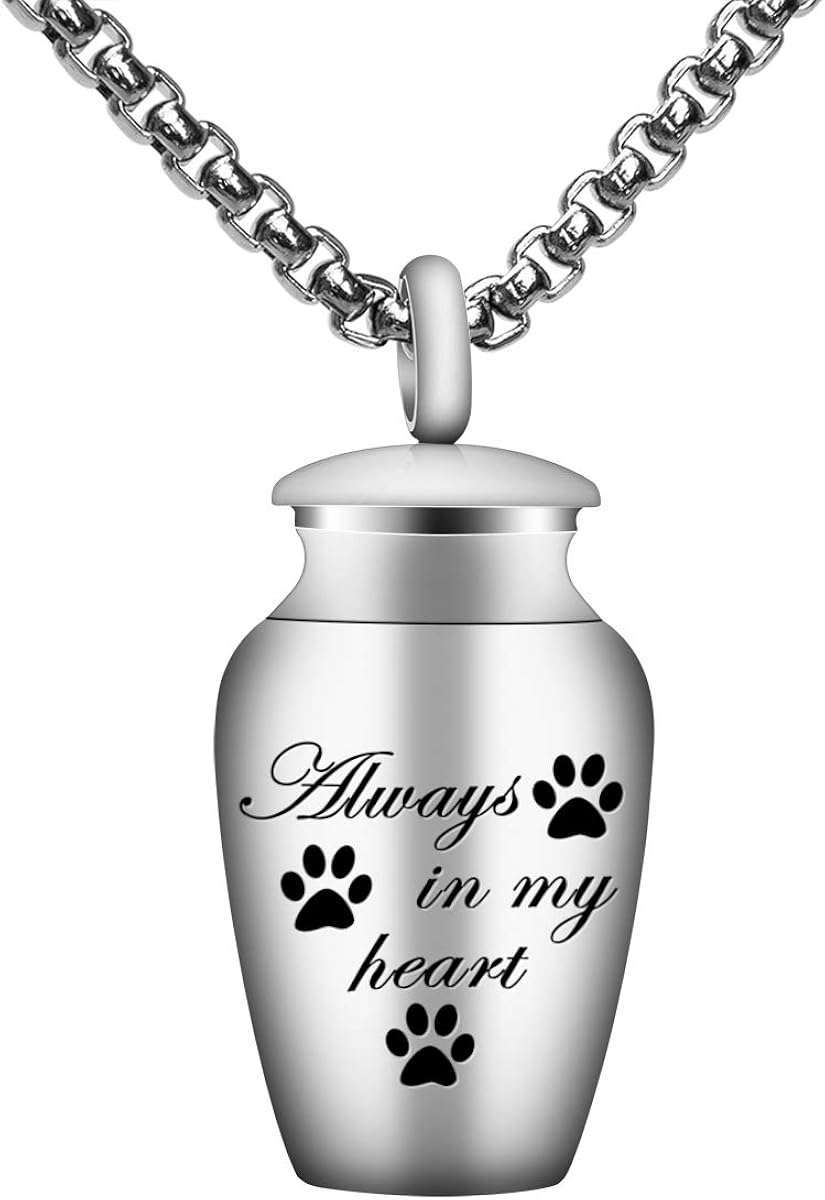 Fanery sue Personalized Cremation Urn Necklace for Human/Pet Ashes, Customized Engraved Text Keepsake Memorial Jewelry for Men/Women