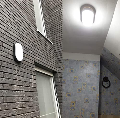 Image of Sturlite Aster LED 20W Bulkhead | Outdoor Waterproof | Wall Light for Home and Office
