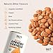 SILO Nuts Organic Bitter Apricot Kernels - 16 oz USDA Certified Organic Bitter Apricot Seeds - Natural & Non-GMO, Premium Quality Kernals, No Sulfur or Additives
