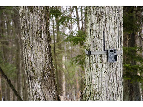 image for SPYPOINT Link Micro Nationwide Version (Smallest on The Market!) Wirel