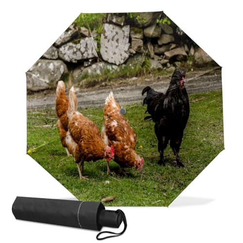 Automatischer faltbarer Regenschirm, Hühnerboden, Gras, Felsen, Sonnenlicht, wasserdicht, kompakt, Sonne und Regen, Reiseschirme für Damen und Herren, einfarbig, Einheitsgröße