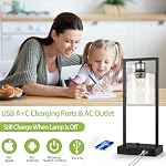 16" Desk Lamps for Home Office, Bedside Lamps with USB C+A Ports and Outlet, Black Fully Stepless Dimmable Industrial Table Lamps with Seeded Glass Shade for Reading Living Room, LED Bulbs Included