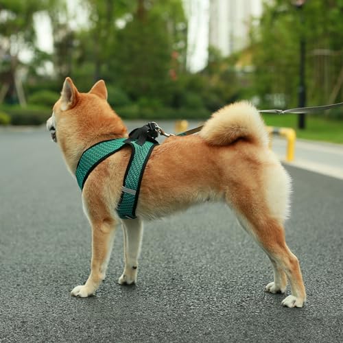 Voyager Step-in-Air-Hundegeschirr, Allwetter-Netz-Hundegeschirr für kleine und mittelgroße Hunde, von Best Pet Supplies – Türkis (zweifarbig), Größe S