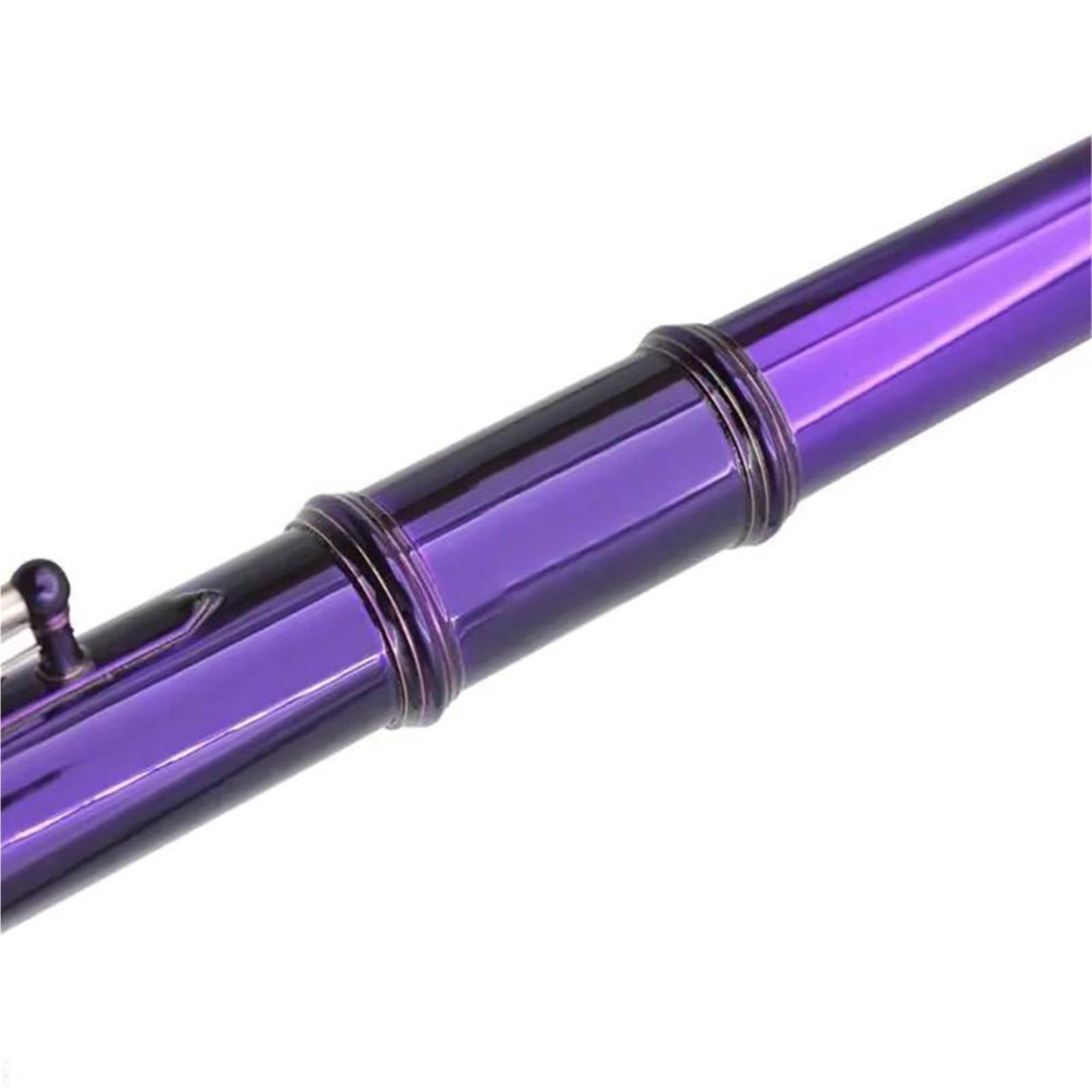 Flute Instruments Profesjonalny flet C z 16 klawiszami i zamkniętym otworem