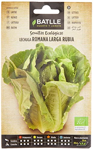 Cómo Cultivar Lechuga en Maceta: Guía Completa 20 Semillas Batlle Lechuga Rom. larga Rubia - ECO