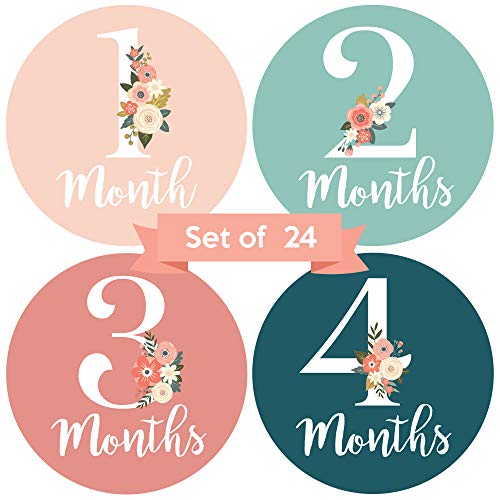 Baby Monthly Stickers - Set of 24 - Floral Baby Girl Milestone Stickers - Perfect for Newborn Girls - Month to Month Milestones - Pink & Teal Floral Design (Set of 24)