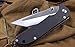 Ganzo Firebird G714 Pocket Folding Knife G-10 Handle SS Blade Hunting Fishing Outdoor EDC Knife (Black)