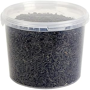 Premium Black Sunflower Seed Wild Bird Food 3L Tub