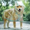 KoKoBin Regenjas voor honden en katten met capuchon, verstelbaar, pvc, transparant, waterdicht, ultralicht, voor kleine honden (blauw, L)
