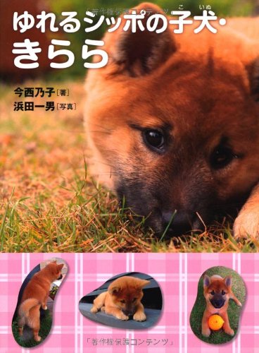 ゆれるシッポの子犬・きらら (ノンフィクション・生きるチカラ)